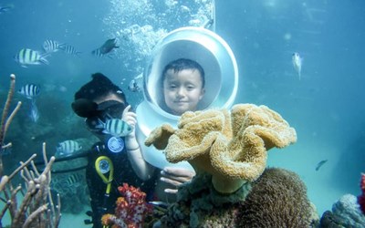 Lặn ngắm san hô Phú Quốc – Tại sao không thể không thử???