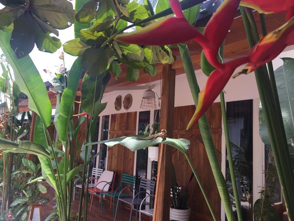 The May Garden Stay & café