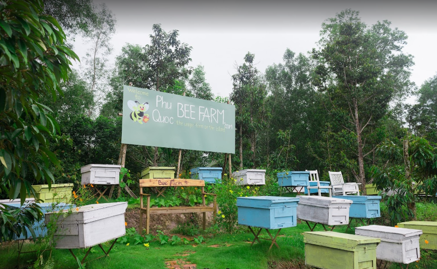 Trại ong Phú Quốc