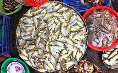 Chợ Dương Đông Phú Quốc: Thiên đường hải sản tươi sống ở Phú Quốc